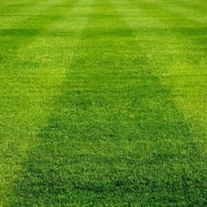 football grass carpet